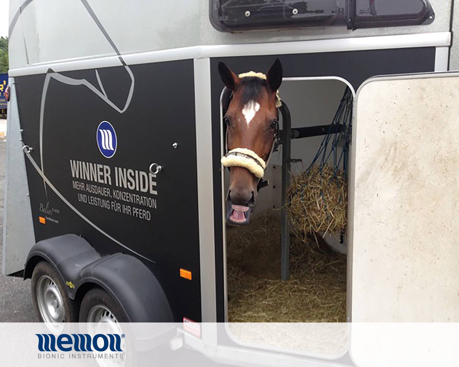 Paarden hebben wellicht meer dan mensen, last van straling. Bescherm ze ertegen!